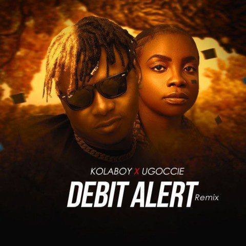 Debit alert (remix)