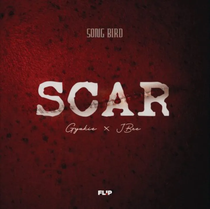 Scar