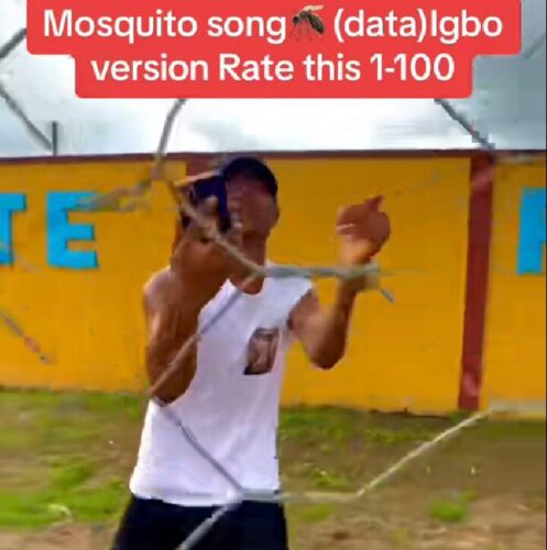 Mosquito (data) Igbo Version